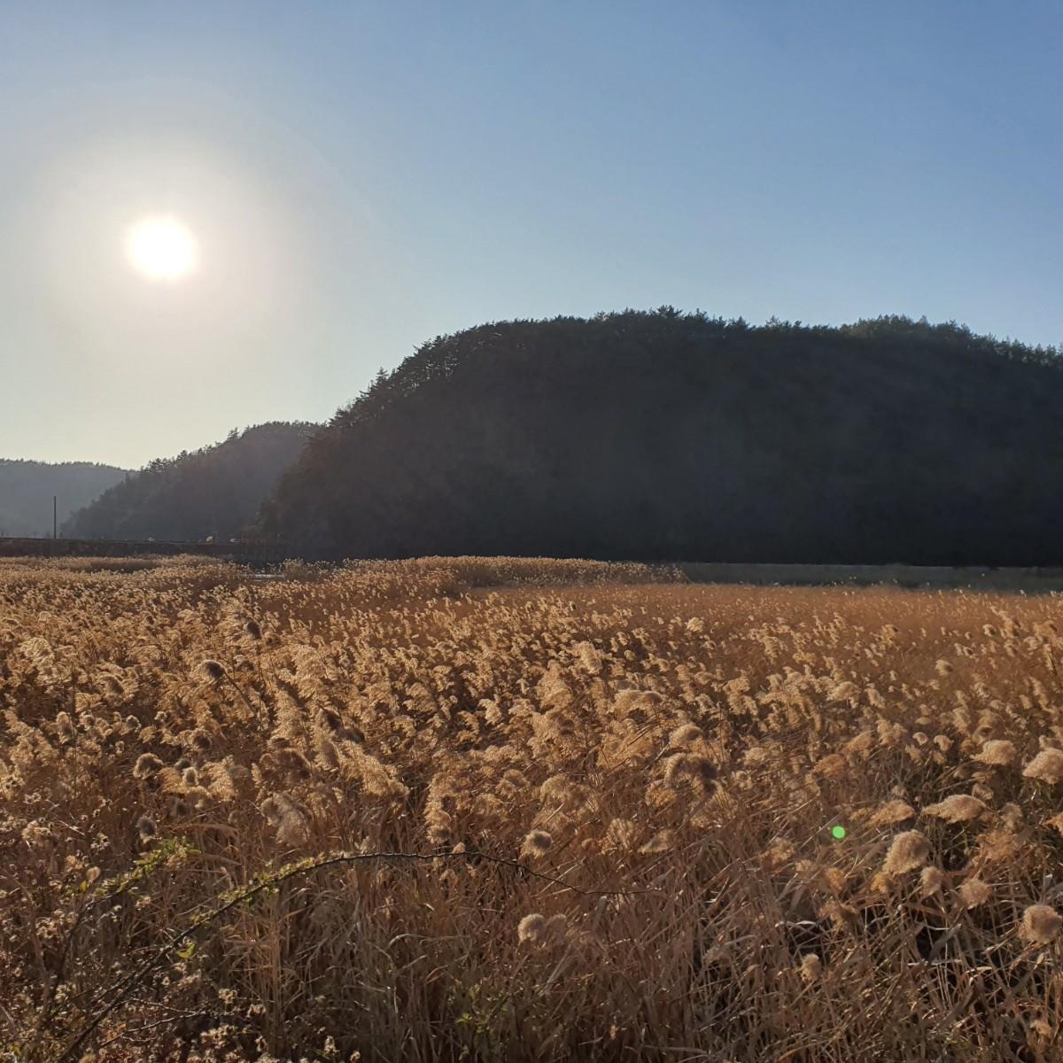 힘콩철봉 | 브랜드 중고거래 플랫폼, 번개장터