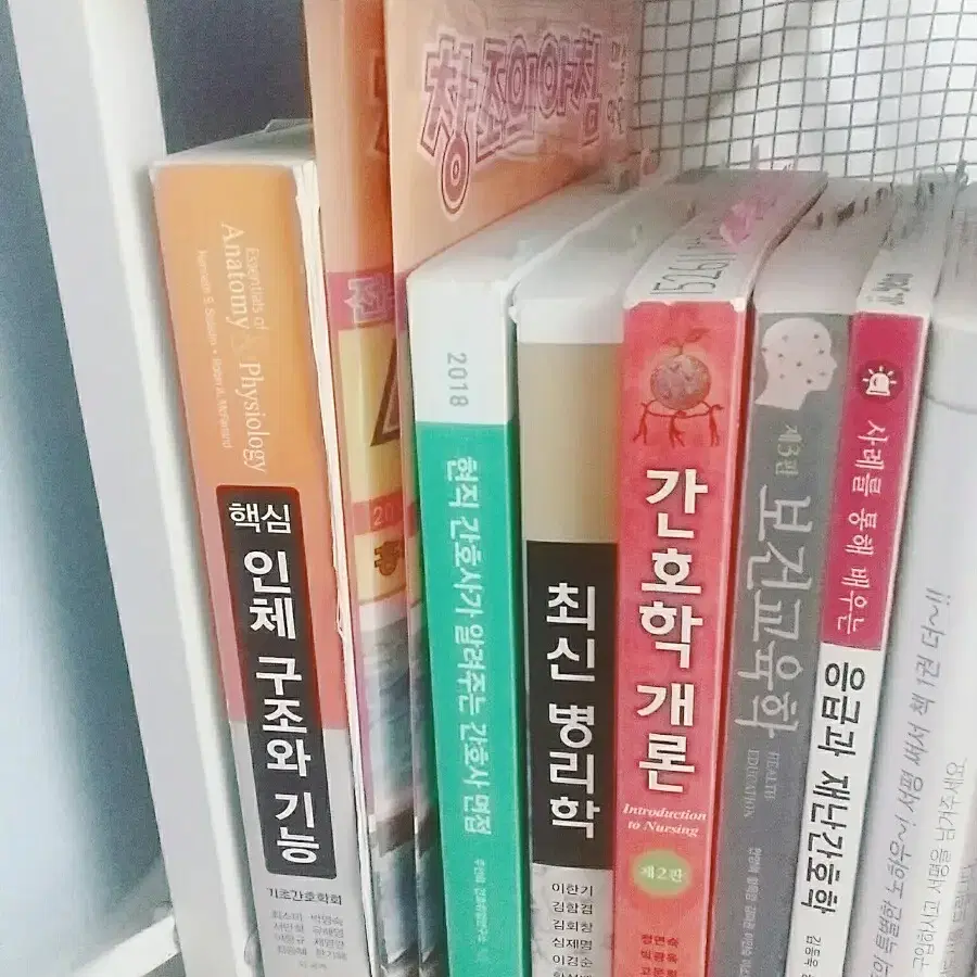 간호학과 전공책