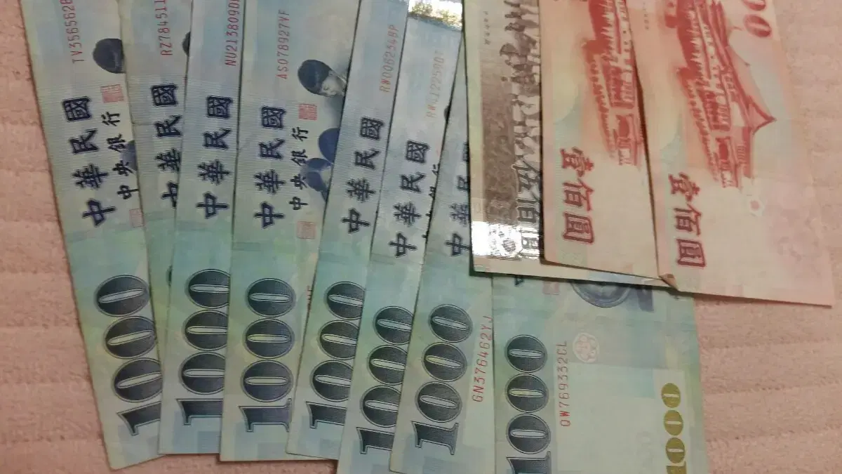 대만 달러 팝니다 | 브랜드 중고거래 플랫폼, 번개장터