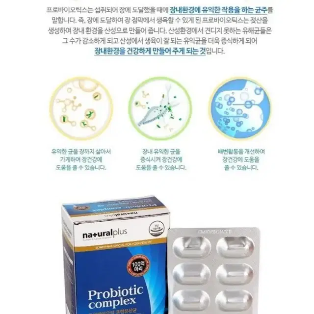 비만세균 잡는 프롤린 유산균