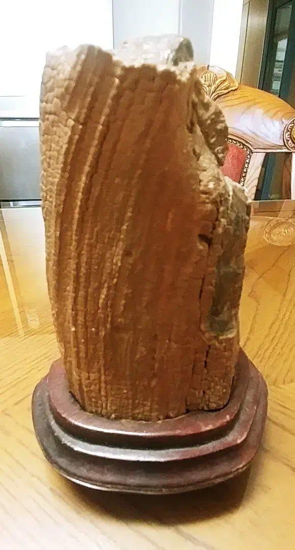 Tree Trunk Fossil (Rare Collectible Chief Decoration Interior)