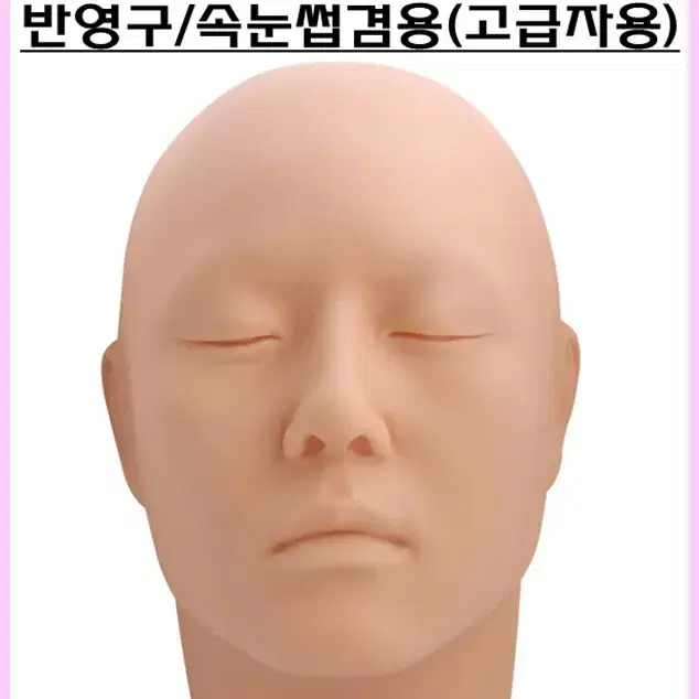 마네킹 헤드 반영구 속눈썹겸용 고급자용 마네킹 고급자용 메이크업 눈썹마네