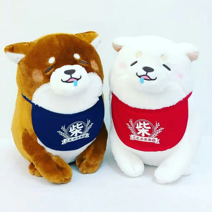 Sleepy Mochishiba Set of 2