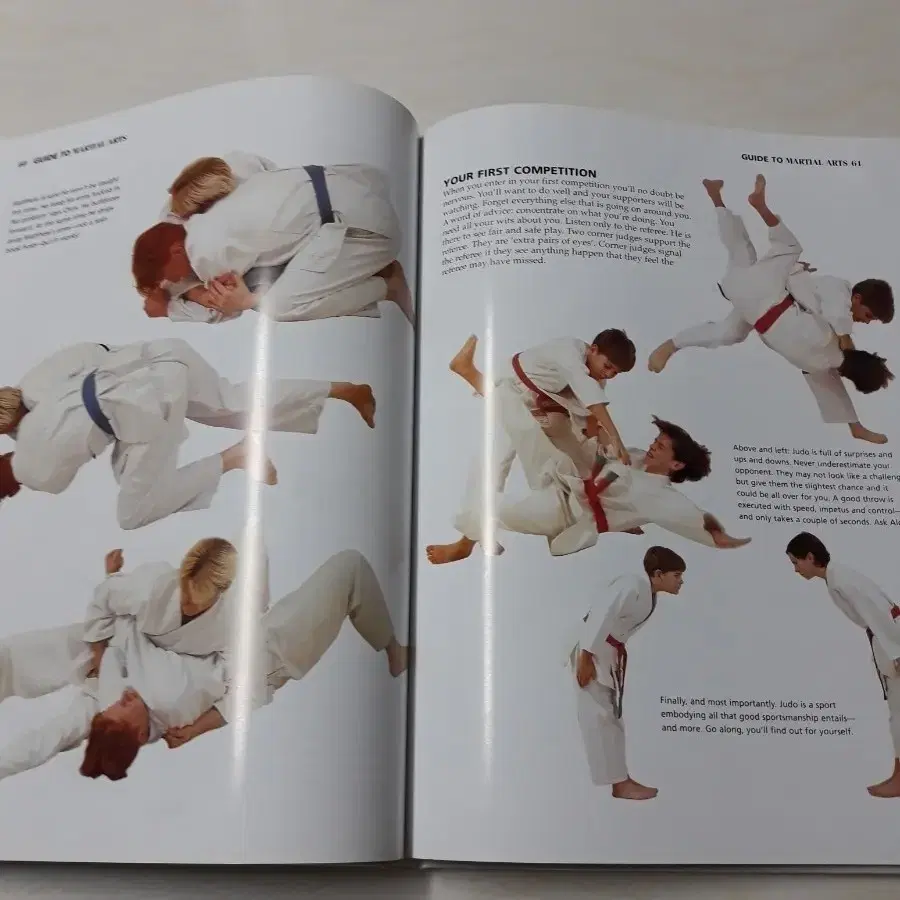 GUIDE TO MARTIAL ARTS (새책)