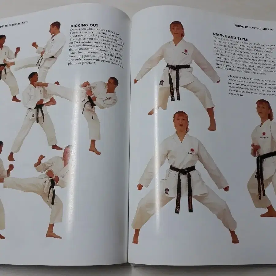 GUIDE TO MARTIAL ARTS (새책)