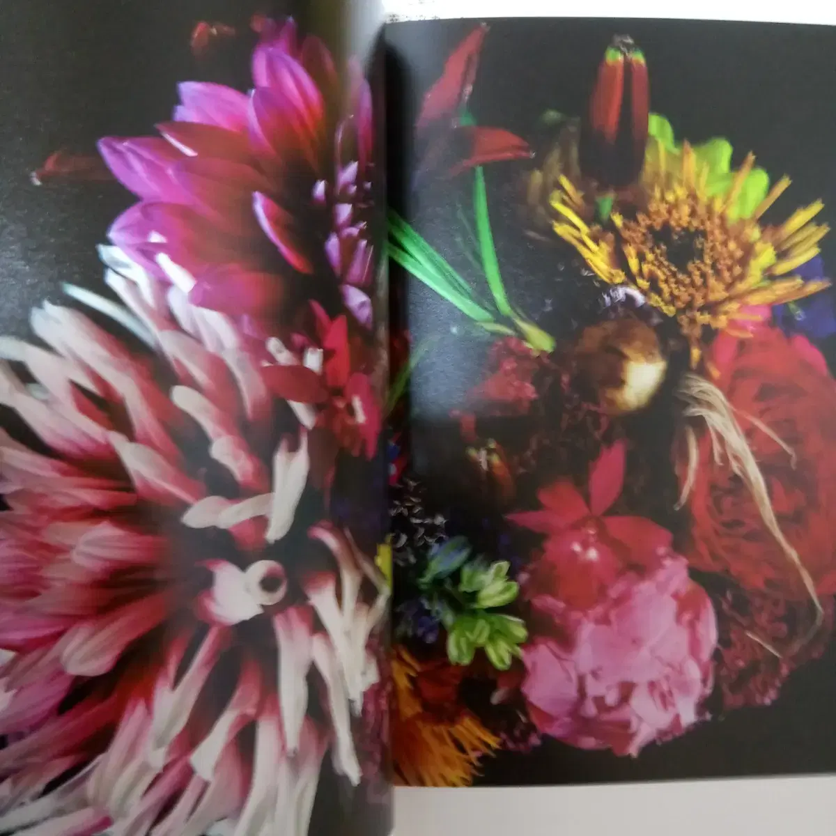 encyclopedia of flowers 사진집