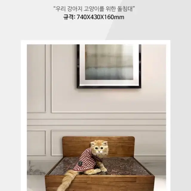 개냥이돌침대(❗️가격내림❗️)