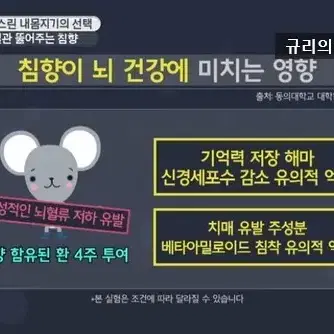 미개봉 새상품) 베트남 침향 알약