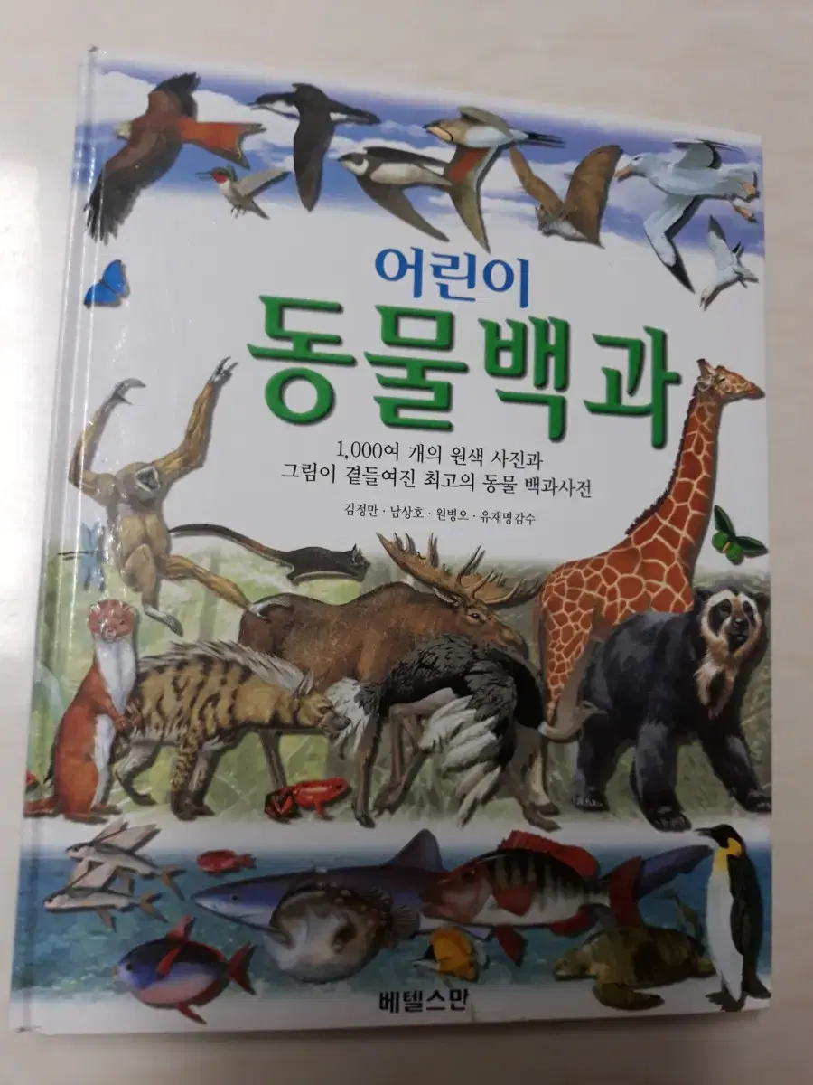 어린이 동물백과 (새책) | 브랜드 중고거래 플랫폼, 번개장터 어린이 동물백과 (새책) | 브랜드 중고거래 플랫폼, 번개장터