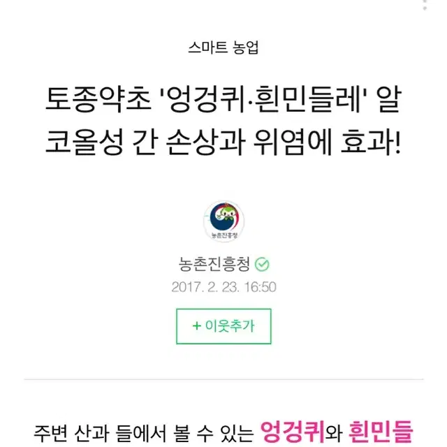 간과 위의 건강을 위한 엉겅퀴-흰민들레