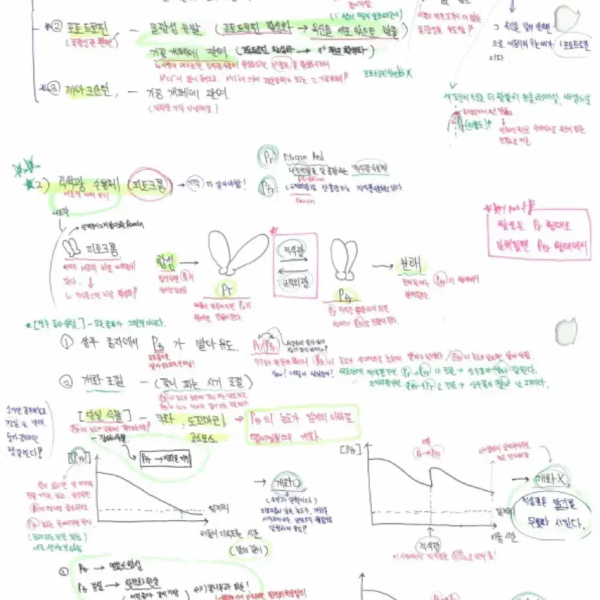 PEET 약대 합격생 생물 필기노트(백분위:99.3%)-피트생물