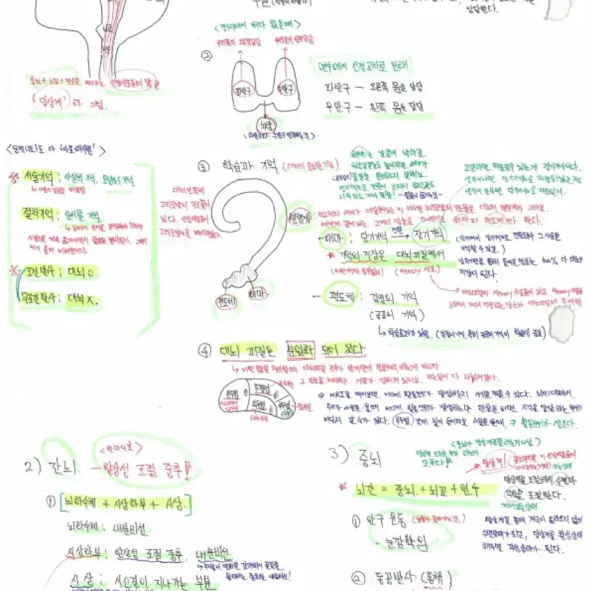 PEET 약대 합격생 생물 필기노트(백분위:99.3%)-피트생물