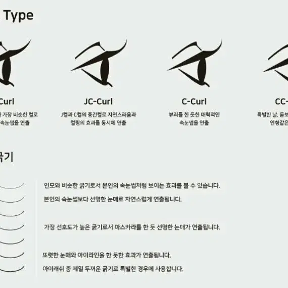 래쉬홀릭2D Y/C Y/JC 0.15t 2가닥 3가닥 속눈썹 2D 3D 