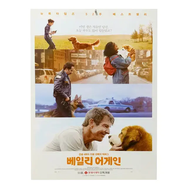 [영화 포스터] 베일리 어게인 (2018)