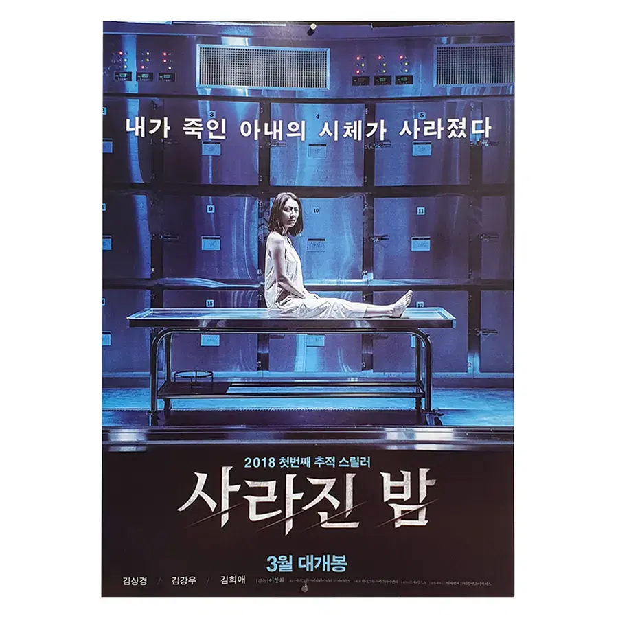 [영화 포스터] 사라진 밤 (2018)