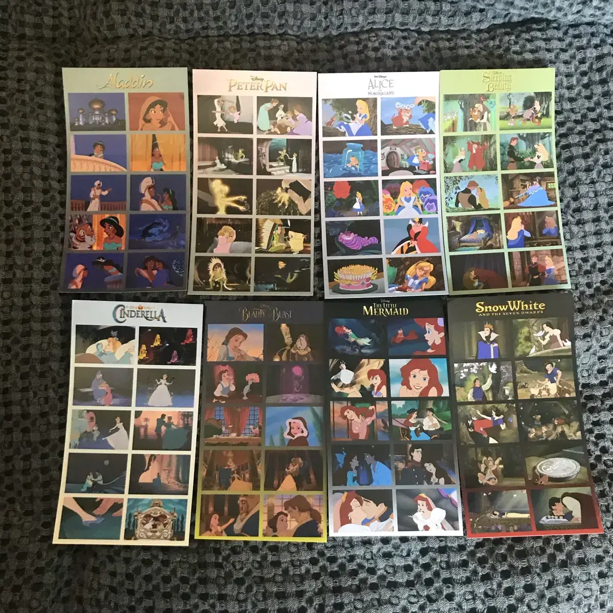 Disney Fance (1 set left)