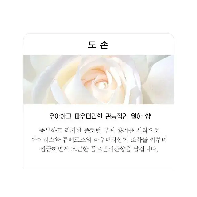 딥디크 도손 TYPE 아르케인 니치향수