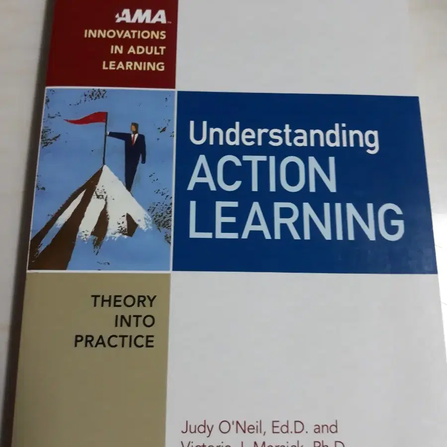 Understanding ACTION LEARNING (새책)