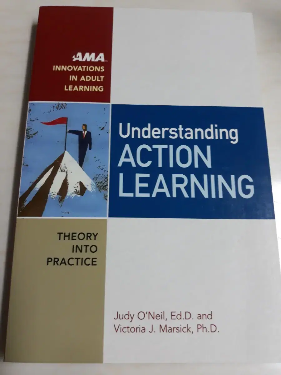 Understanding ACTION LEARNING (새책)