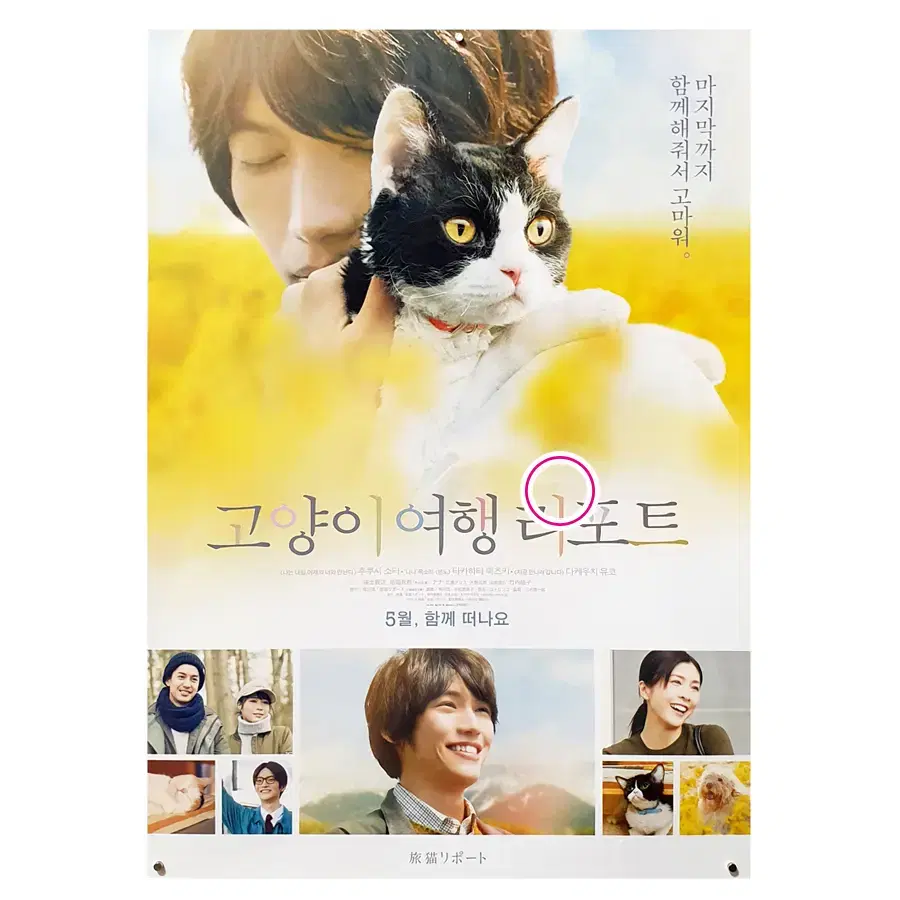 [영화 포스터] 고양이 여행 리포트 (2019)