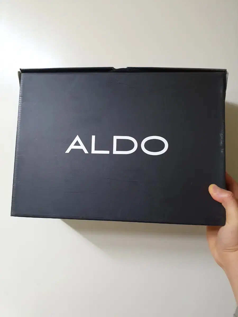 ALDO 가죽 워커