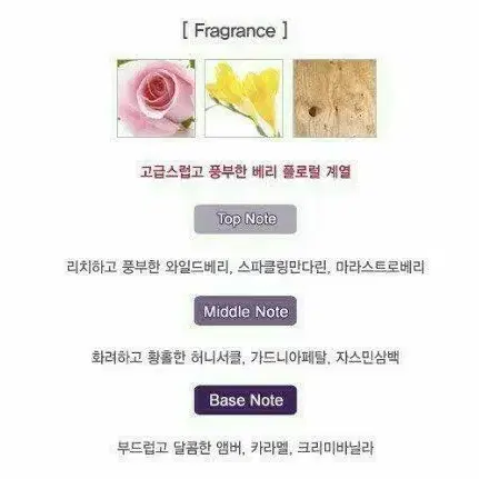 안나수이 라비드 보헴 오드토일렛 30ml(단종)