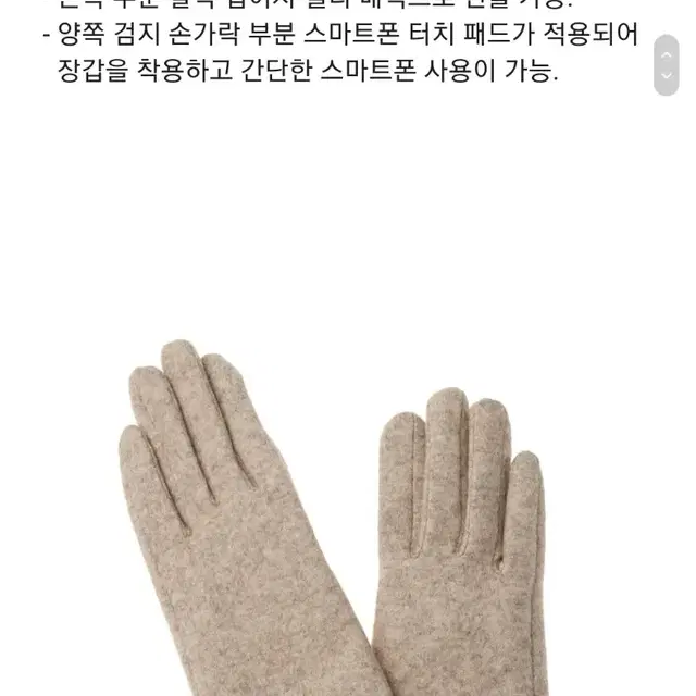 터치장갑