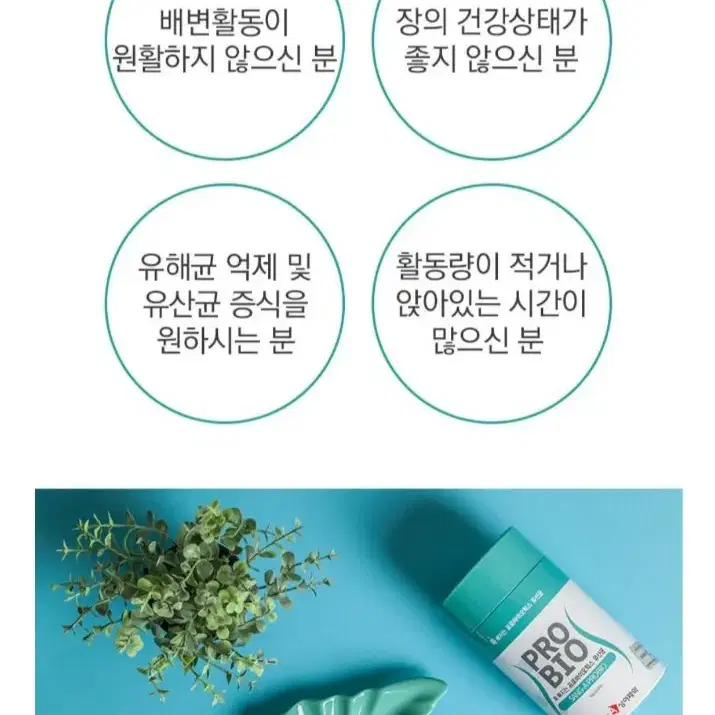 쏙빠지 프로바이오틱스