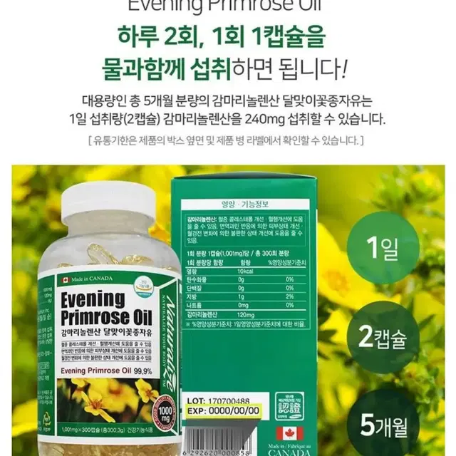 달맞이꽃 아토피 갱년기 콜레스테롤