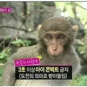 번개장터
