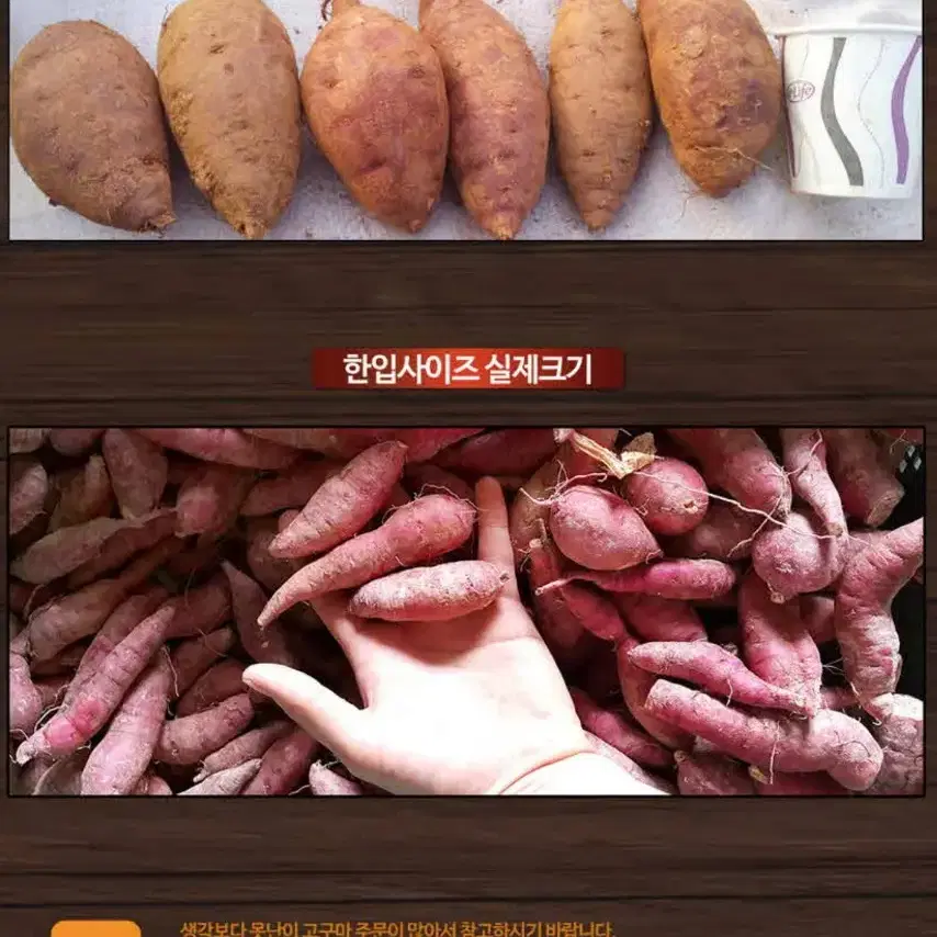 꿀고구마 최상품 5키로