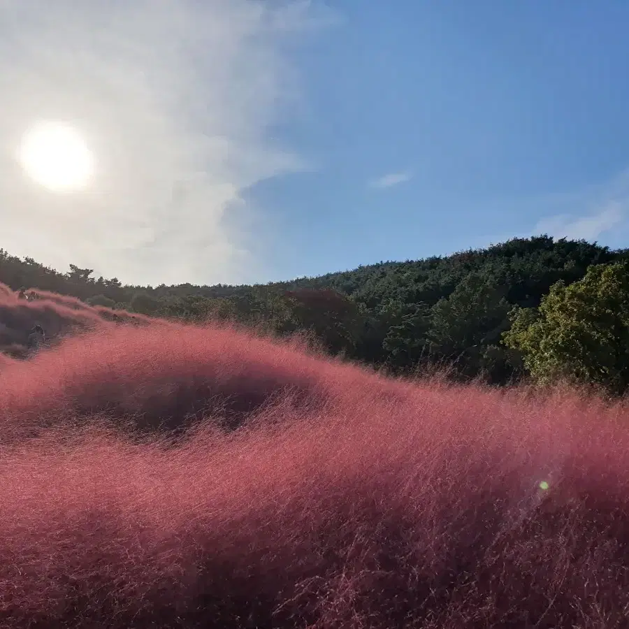 발송