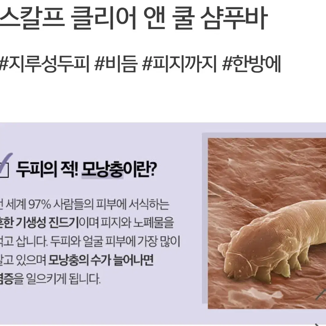 (곧 내림)다소니 스칼프 클리어 앤 쿨 샴푸바