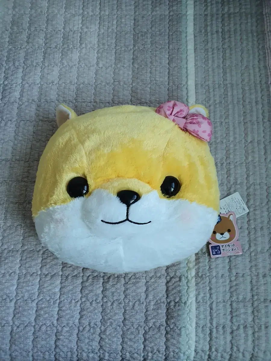 Shiba Inu Face Cushion