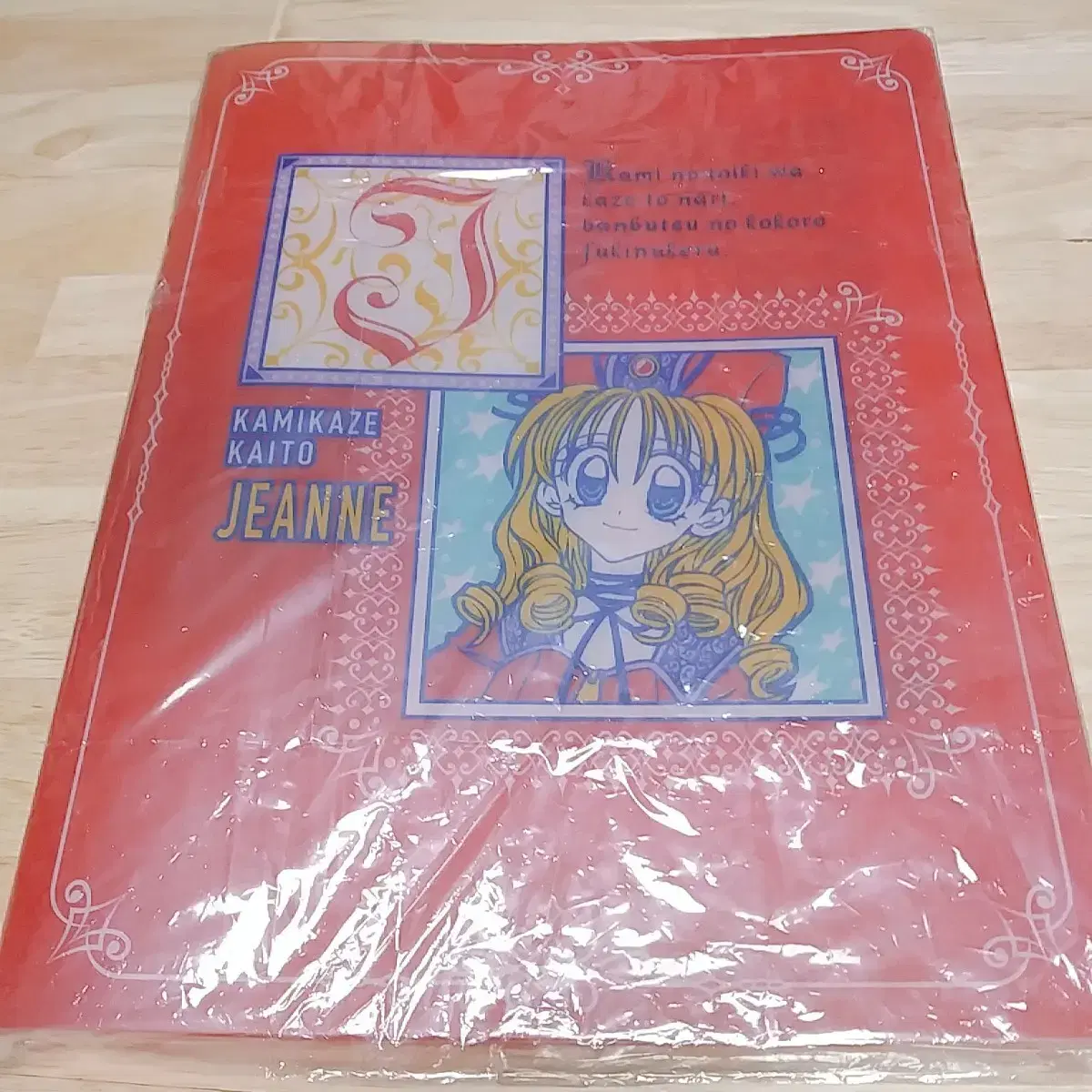 God&#x27;s Goblin Zanne Filebook