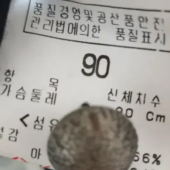 엘르 가디건