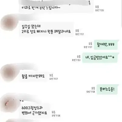 퀸바디라인