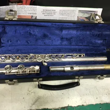 Gemeinhardt deals flute 2esp