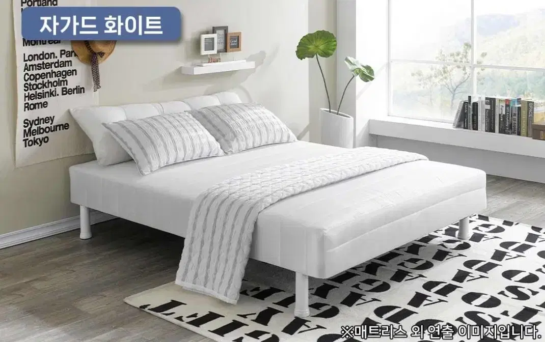[Best Price]Fluffy Feet Single Super Single Queen Firm Mattress Bed for 2 People
