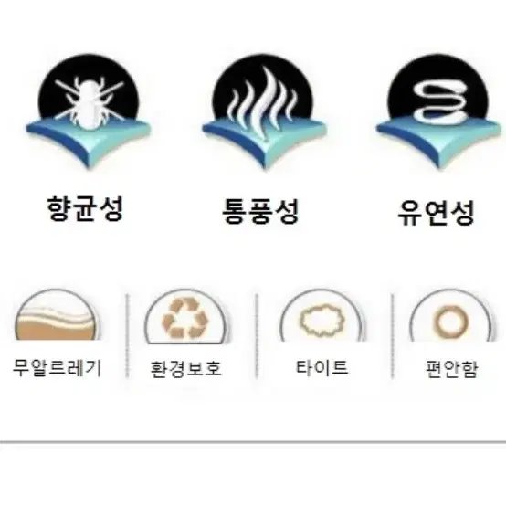 강아지실내복