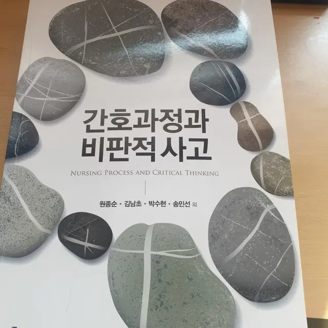 간호과정과비판적사고 현문사