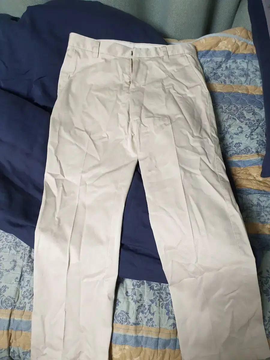 Giordano Ivory Chino Pants