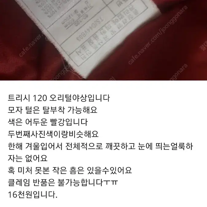 트리시 120  야상