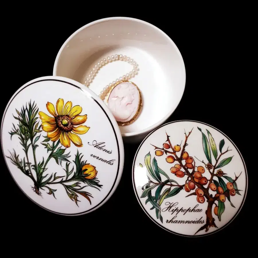 독일 Villeroy&boch 보타니카 캔디박스