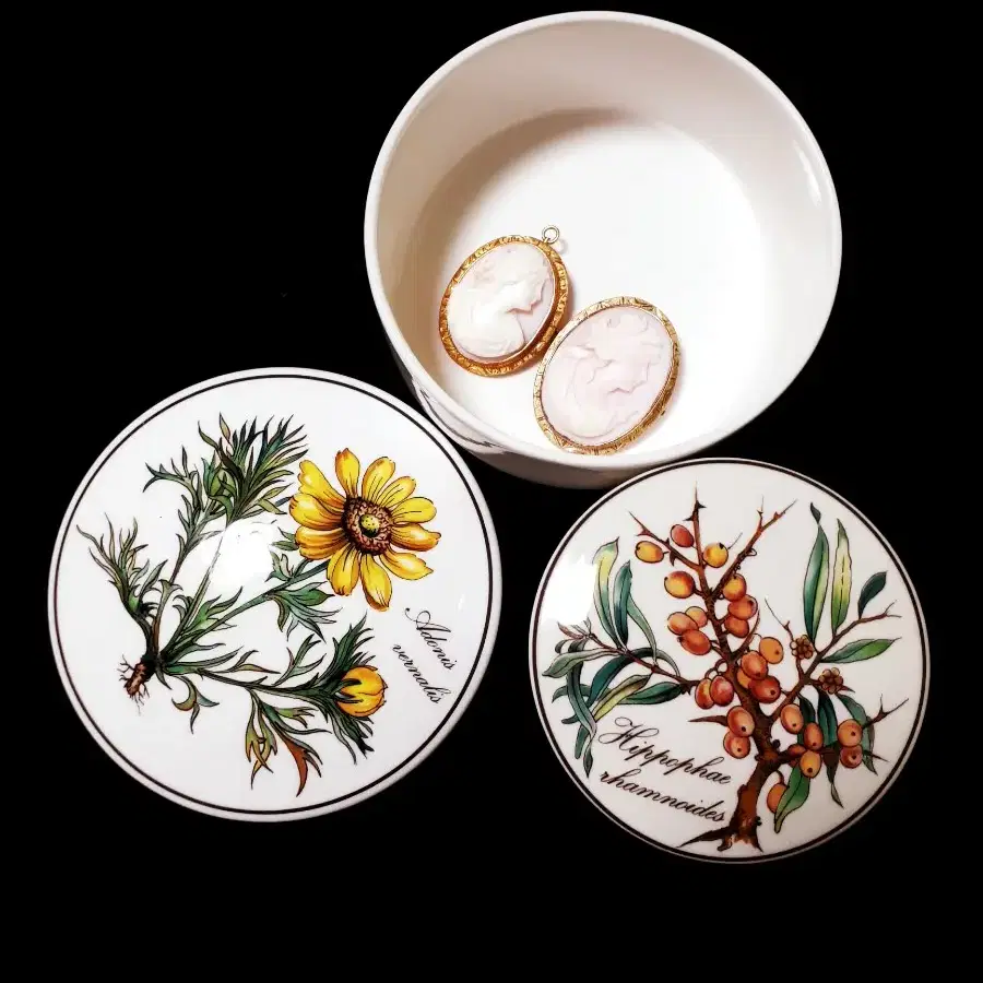 독일 Villeroy&boch 보타니카 캔디박스