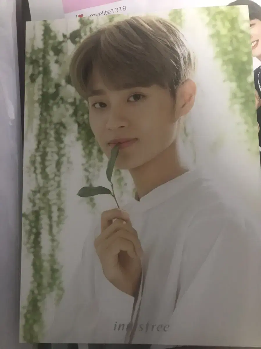 Wanna One Innisfree Lee Daehwi