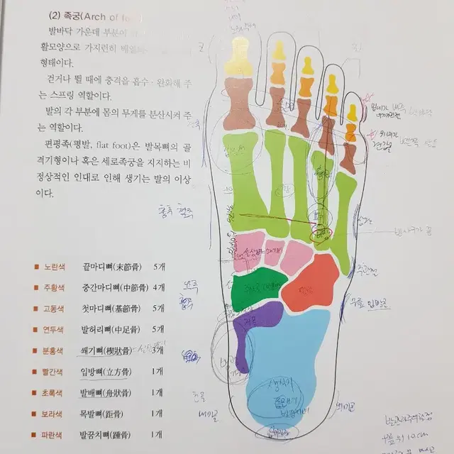 발관리학 중고 책 팔아요