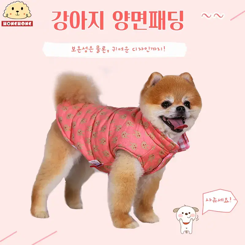 강아지 고양이 양면 패딩 면점퍼 리버서블 산책옷