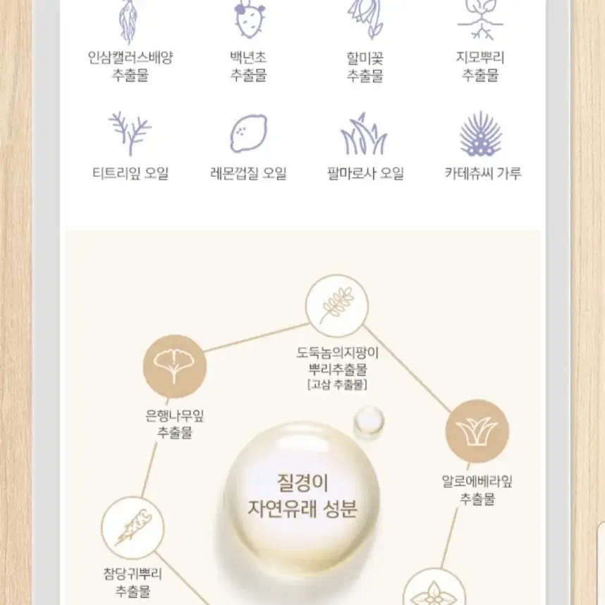 304 질경이 데일리 에코아워시 여성청결제 최신상 리뉴얼