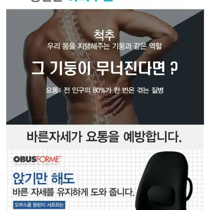 (오부스폼)로우백등받이서포트LB BLK CB미개봉 미사용